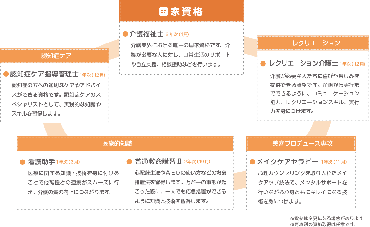 資格取得（カテゴリー別）
